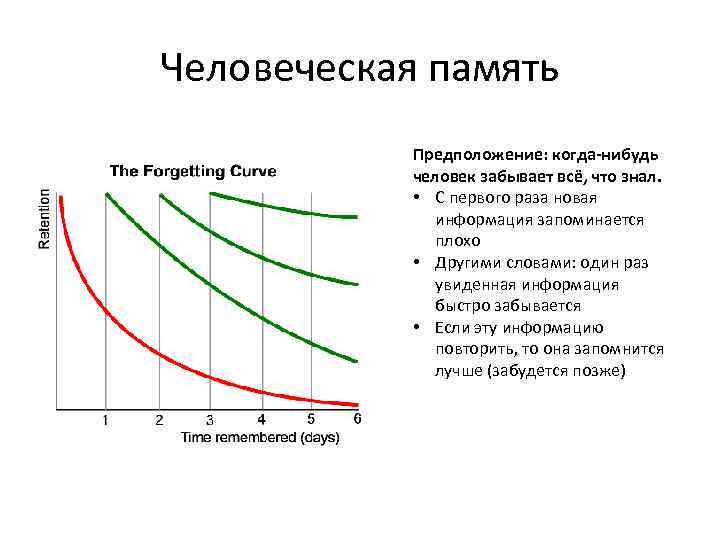 Человеческая память Предположение: когда-нибудь человек забывает всё, что знал. • С первого раза новая