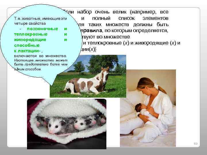 Пример 2: Если набор очень велик (например, все млекопитающие), и полный список элементов Т.
