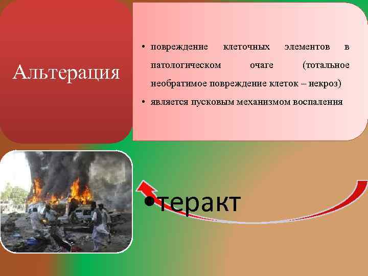  • повреждение Альтерация клеточных патологическом очаге элементов (тотальное необратимое повреждение клеток – некроз)