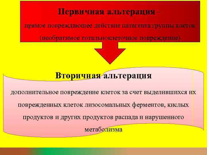 Первичная альтерация – прямое повреждающее действие патагента группы клеток (необратимое тотальноклеточное повреждение) Вторичная альтерация