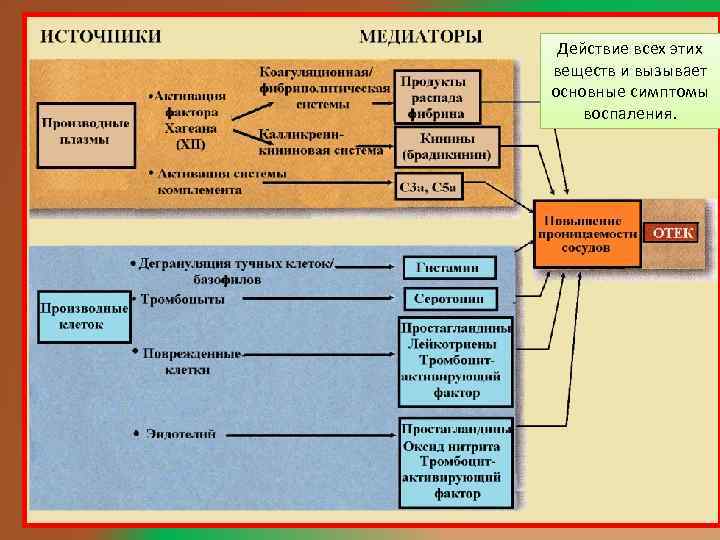 Действие всех этих веществ и вызывает основные симптомы воспаления. 