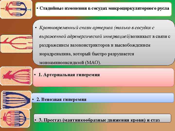 Спазм сосудов это. Кратковременный спазм артериол. Маятникообразное движение крови.