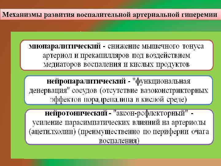 Механизмы развития воспалительной артериальной гиперемии 