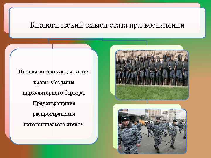 Биологический смысл стаза при воспалении Полная остановка движения . крови. Создание циркуляторного барьера. Предотвращение