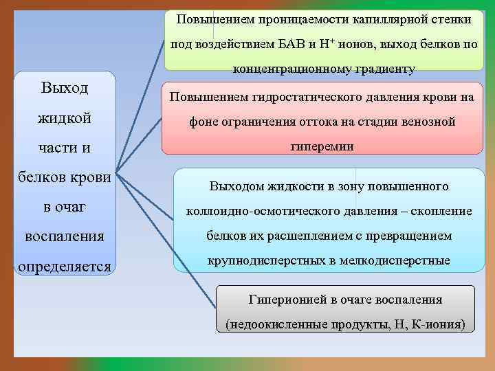 Повышением проницаемости капиллярной стенки под воздействием БАВ и Н+ ионов, выход белков по концентрационному