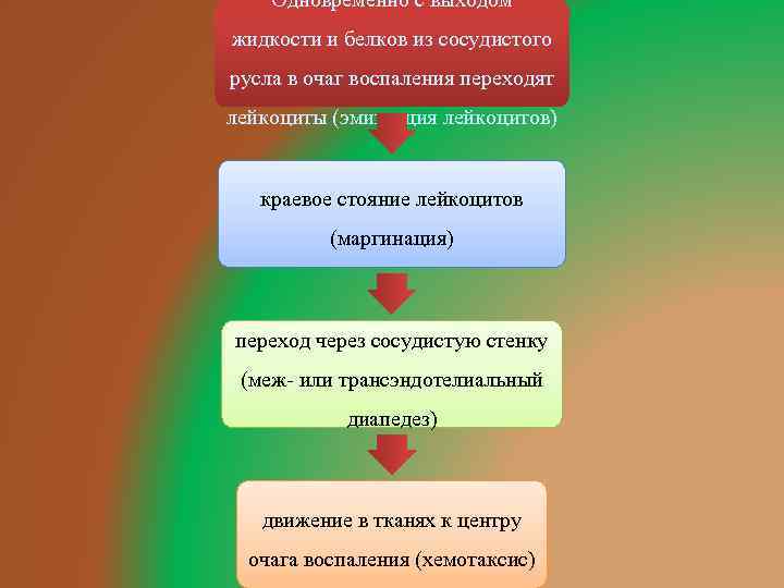 Одновременно с выходом жидкости и белков из сосудистого русла в очаг воспаления переходят лейкоциты