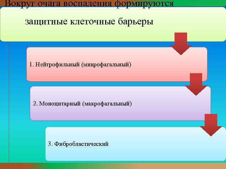 Вокруг очага воспаления формируются защитные клеточные барьеры 1. Нейтрофильный (микрофагальный) 2. Моноцитарный (макрофагальный) 3.