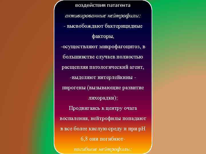 воздействия патагента активированные нейтрофилы: - высвобождают бактерицидные факторы, -осуществляют микрофагоцитоз, в большинстве случаев полностью