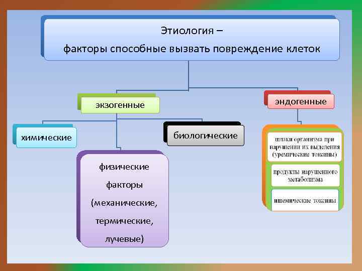 Этиология – факторы способные вызвать повреждение клеток эндогенные экзогенные биологические химические физические факторы (механические,