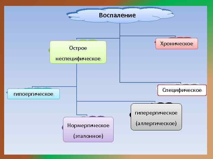 Воспаление Острое Хроническое неспецифическое Специфическое гипоергическое гиперергическое Нормергическое (эталонное) (аллергическое) 