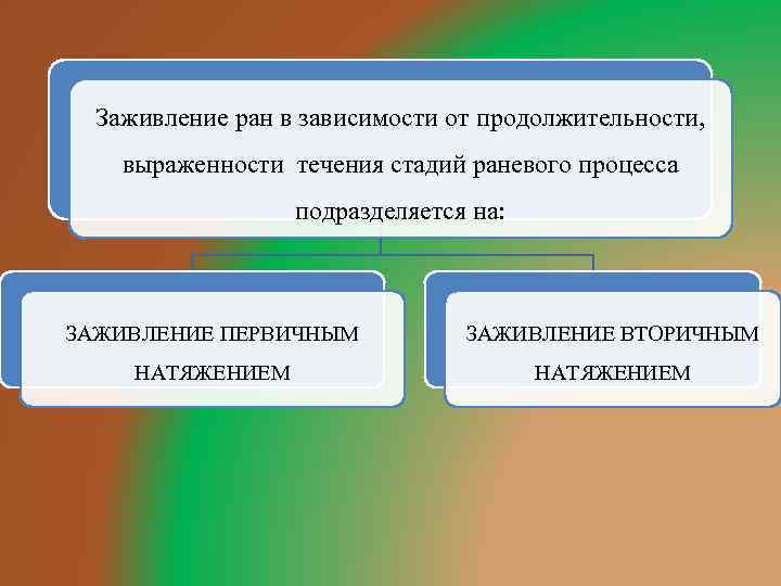 Заживление ран в зависимости от продолжительности, выраженности течения стадий раневого процесса подразделяется на: ЗАЖИВЛЕНИЕ