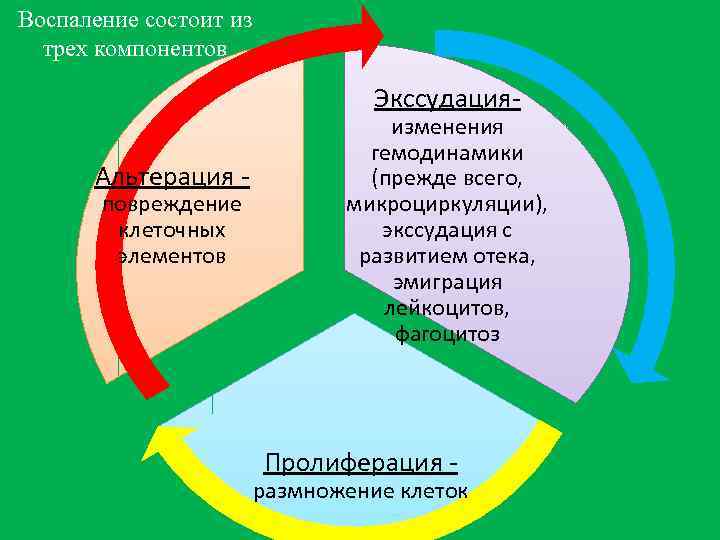 Воспаление состоит из трех компонентов Экссудация- Альтерация повреждение клеточных элементов изменения гемодинамики (прежде всего,