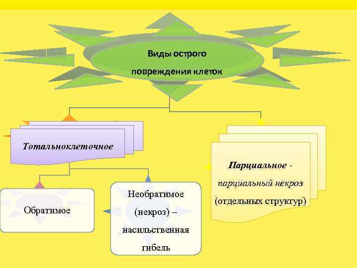 Виды острого повреждения клеток Тотальноклеточное Парциальное парциальный некроз Необратимое Обратимое (некроз) – насильственная гибель