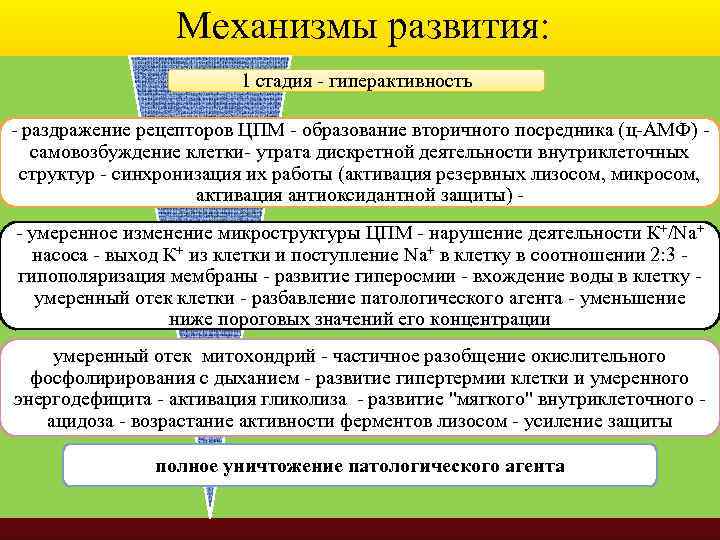 Механизмы развития: 1 стадия - гиперактивность - раздражение рецепторов ЦПМ - образование вторичного посредника