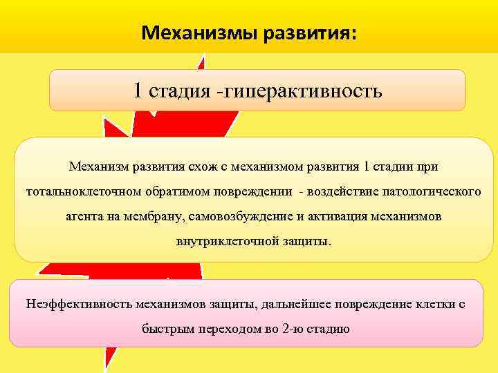 Механизмы развития: 1 стадия -гиперактивность Механизм развития схож с механизмом развития 1 стадии при