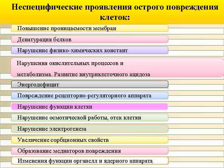 Неспецифические проявления острого повреждения клеток: Повышение проницаемости мембран Денатурация белков Нарушение физико-химических констант Нарушения