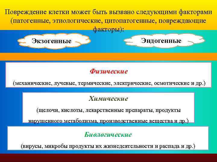 Повреждение клетки может быть вызвано следующими факторами (патогенные, этиологические, цитопатогенные, повреждающие факторы): Эндогенные Экзогенные