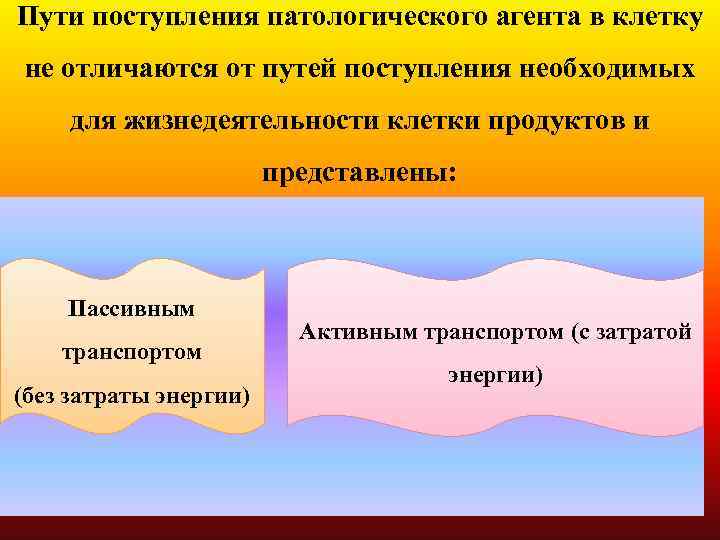 Пути поступления патологического агента в клетку не отличаются от путей поступления необходимых для жизнедеятельности