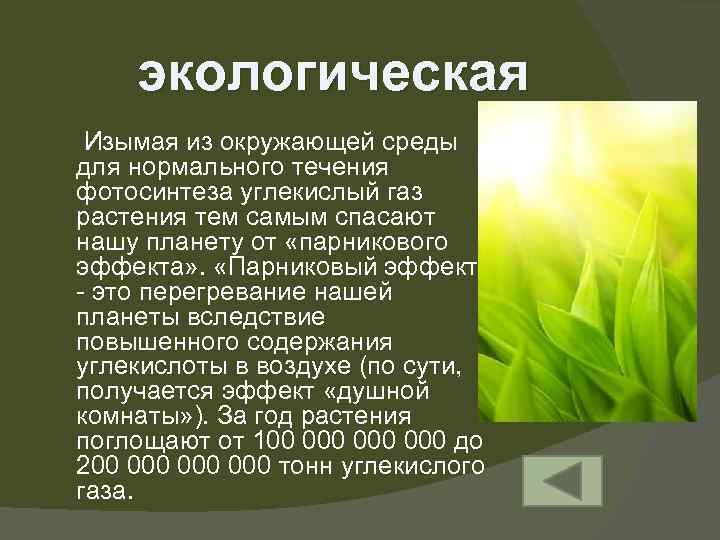 экологическая Изымая из окружающей среды для нормального течения фотосинтеза углекислый газ растения тем самым