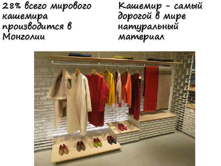28% всего мирового кашемира производится в Монголии Кашемир - самый дорогой в мире натуральный