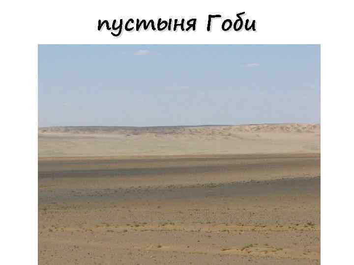 пустыня Гоби 