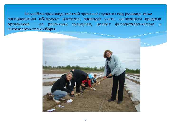 На учебно-производственной практике студенты под руководством преподавателя обследуют растения, проводят учеты численности вредных организмов