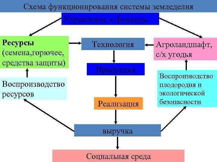 Схема функционирования системы земледелия Управление и финансы Ресурсы (семена, горючее, средства защиты) Технология Продукция