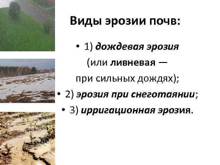 Виды эрозии почв: • 1) дождевая эрозия (или ливневая — при сильных дождях); •