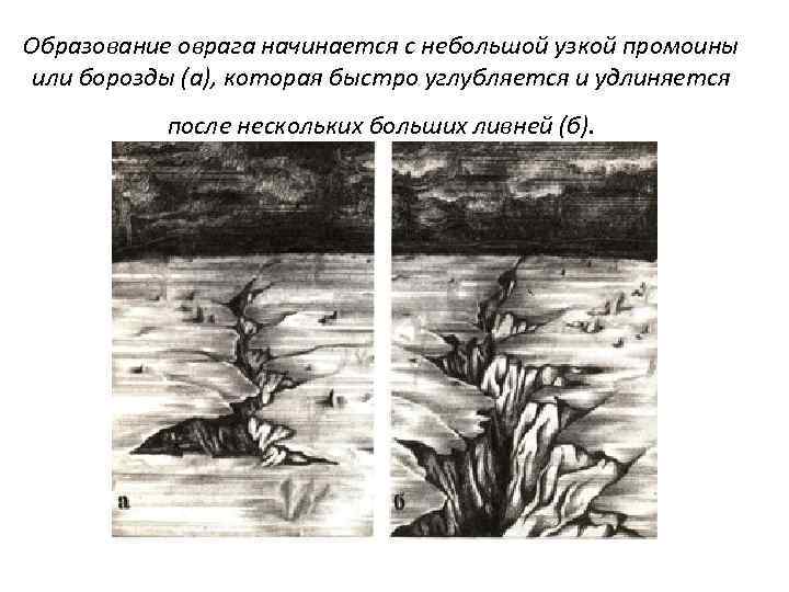 Образование оврага начинается с небольшой узкой промоины или борозды (а), которая быстро углубляется и