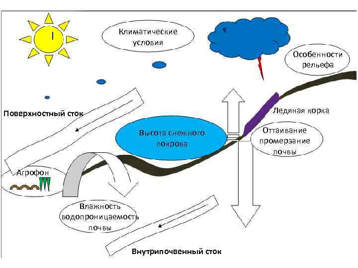 Климатические условия Особенности рельефа Ледяная корка Поверхностный сток Высота снежного покрова Агрофон Влажность водопроницаемость