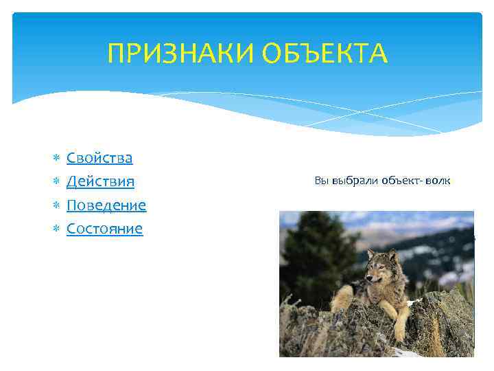 ПРИЗНАКИ ОБЪЕКТА Свойства Действия Поведение Состояние Вы выбрали объект- волк: Скопируйте сюда картинку 