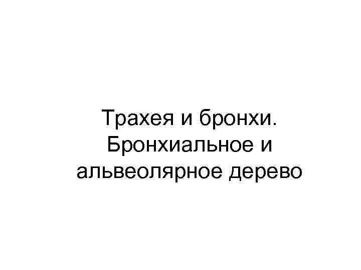 Трахея и бронхи. Бронхиальное и альвеолярное дерево 