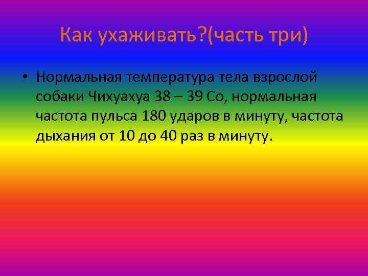 Как ухаживать? (часть три) • Нормальная температура тела взрослой собаки Чихуахуа 38 – 39