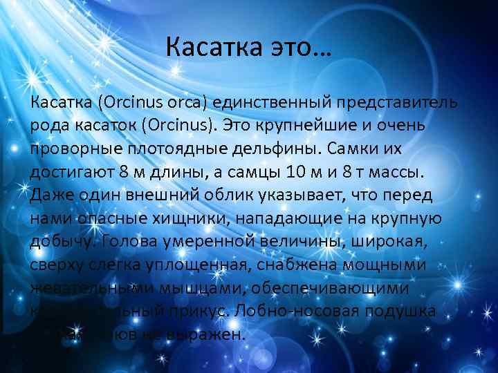 Касатка это… Касатка (Orcinus orca) единственный представитель рода касаток (Orcinus). Это крупнейшие и очень