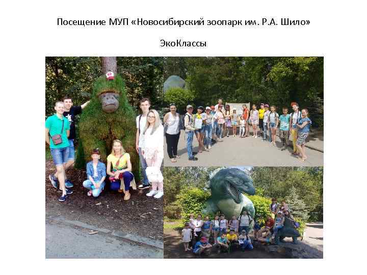 Посещение МУП «Новосибирский зоопарк им. Р. А. Шило» Эко. Классы 