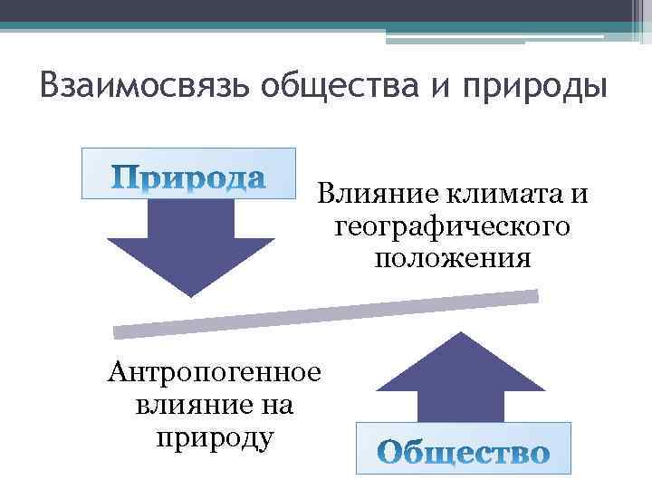 Взаимосвязь общества и природы Влияние климата и географического положения Антропогенное влияние на природу 