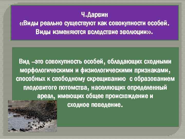 Ч. Дарвин «Виды реально существуют как совокупности особей. Виды изменяются вследствие эволюции» . Вид