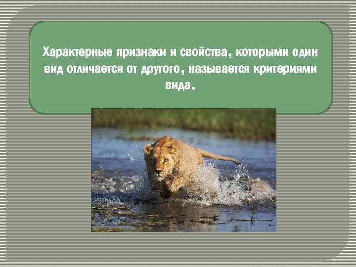 Характерные признаки и свойства, которыми один вид отличается от другого, называется критериями вида. 