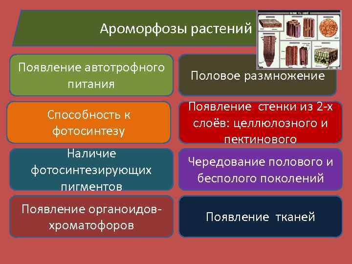 На план масштаб которого равен 1 1000 нанесен искусственный водоем возле дома сергея