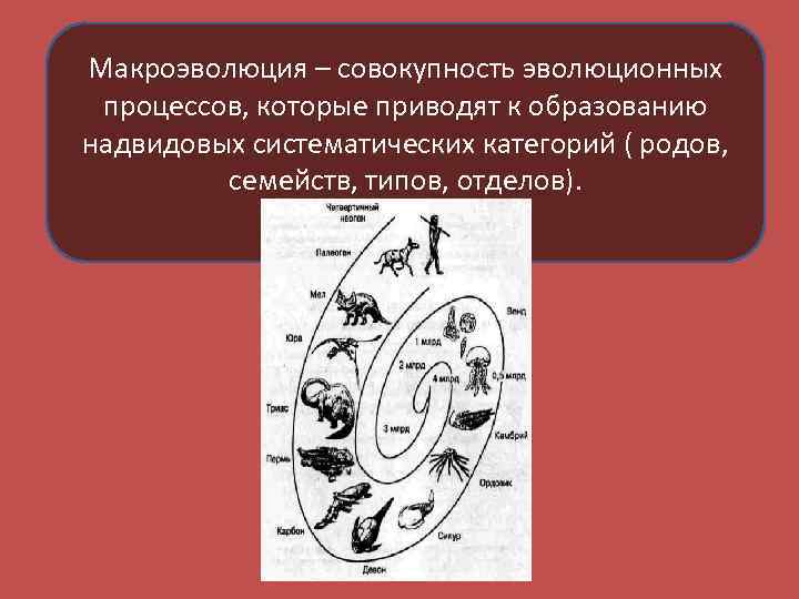 Процессы образования видов презентация 9 класс пономарева