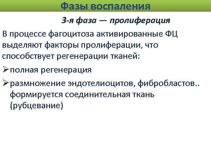 Фазы воспаления 3 -я фаза — пролиферация В процессе фагоцитоза активированные ФЦ выделяют факторы