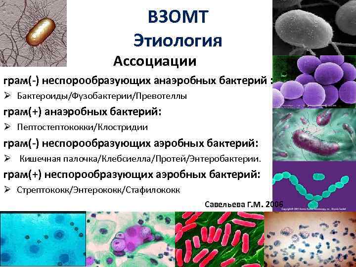 ВЗОМТ Этиология Ассоциации грам(-) неспорообразующих анаэробных бактерий : Ø Бактероиды/Фузобактерии/Превотеллы грам(+) анаэробных бактерий: Ø