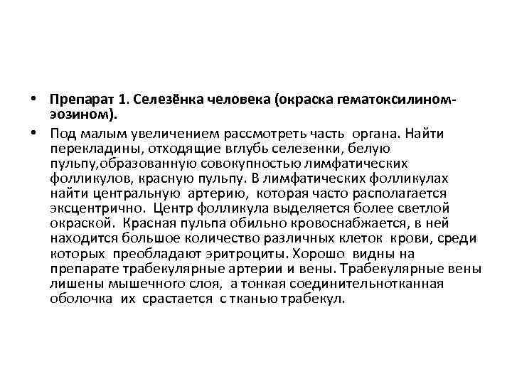  • Препарат 1. Селезёнка человека (окраска гематоксилиномэозином). • Под малым увеличением рассмотреть часть