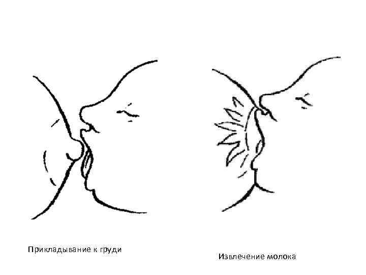 Прикладывание к груди Извлечение молока 