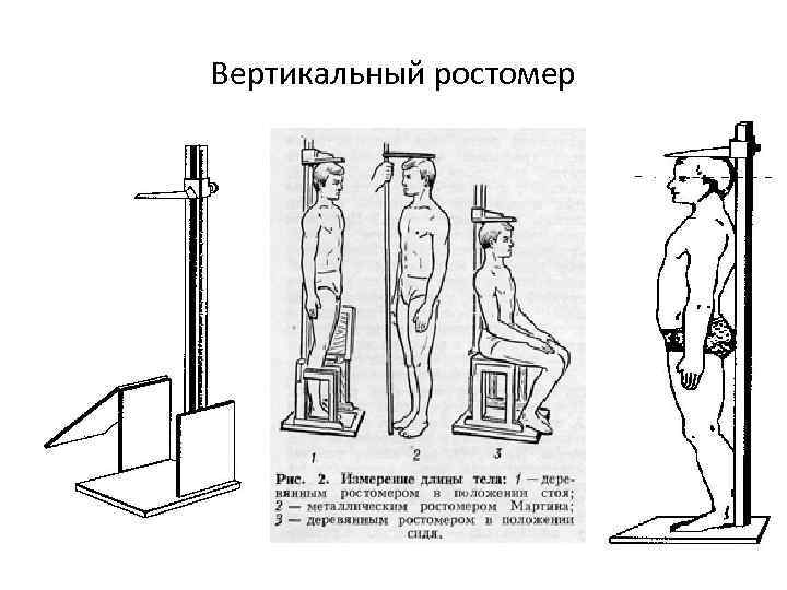 Измерение роста старше года. Измерение роста. Измерение роста рисунок. Ростомер медицинский. Измеригнри длины тела..