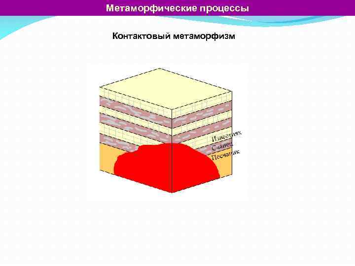 Метаморфические процессы Контактовый метаморфизм 