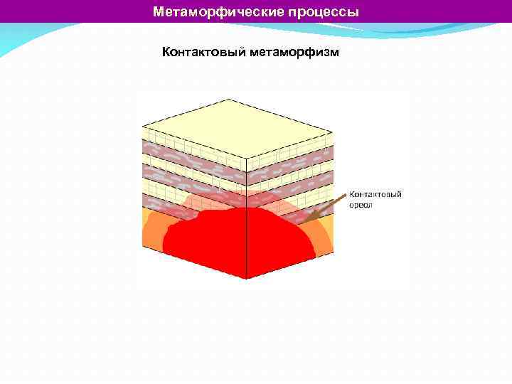 Метаморфические процессы Контактовый метаморфизм 