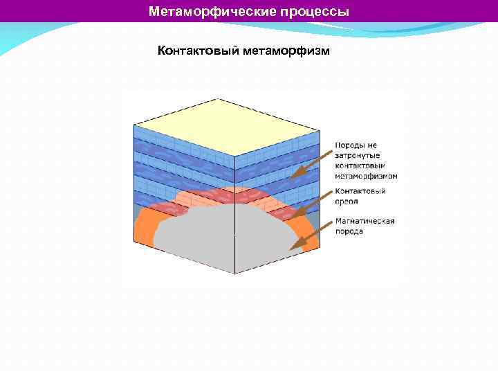 Метаморфические процессы Контактовый метаморфизм 