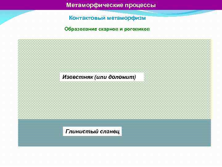 Метаморфические процессы Контактовый метаморфизм Образование скарнов и роговиков Известняк (или доломит) Глинистый сланец 