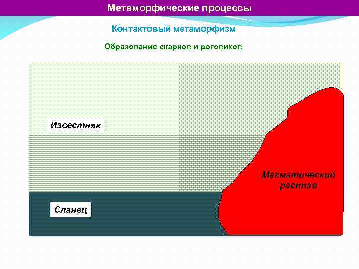 Метаморфические процессы Контактовый метаморфизм Образование скарнов и роговиков Известняк Магматический расплав Сланец 